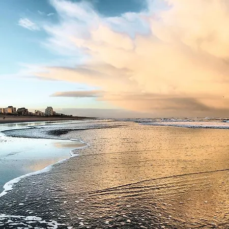 Oranje Noordwijk